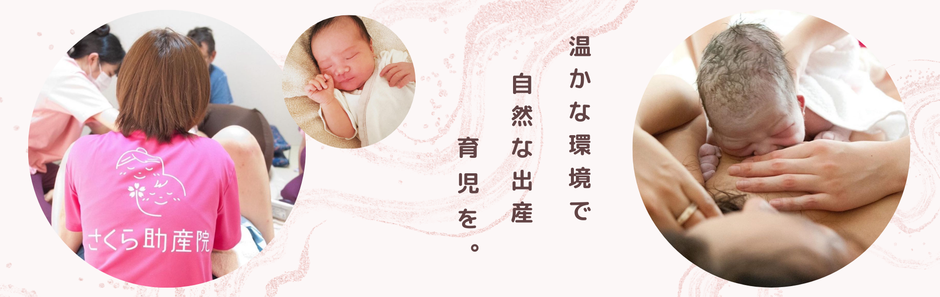 公式案内画像