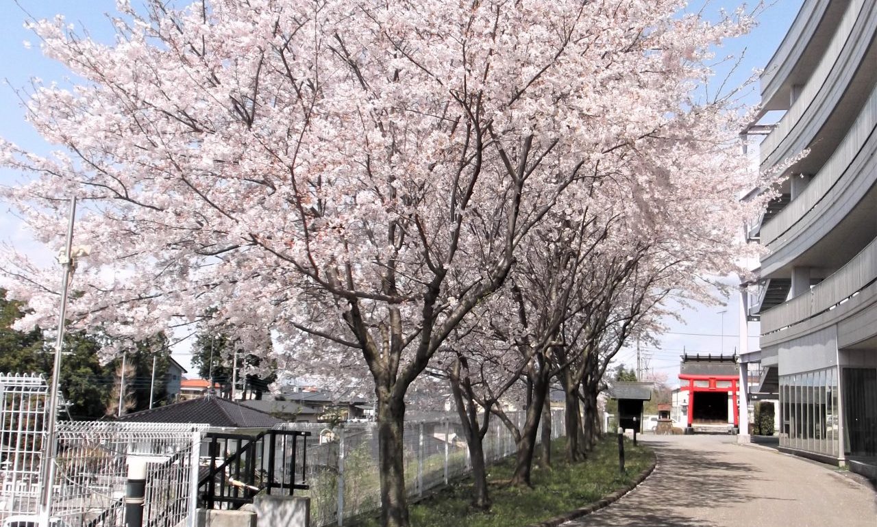 特別養護老人ホーム 桜の華 の写真