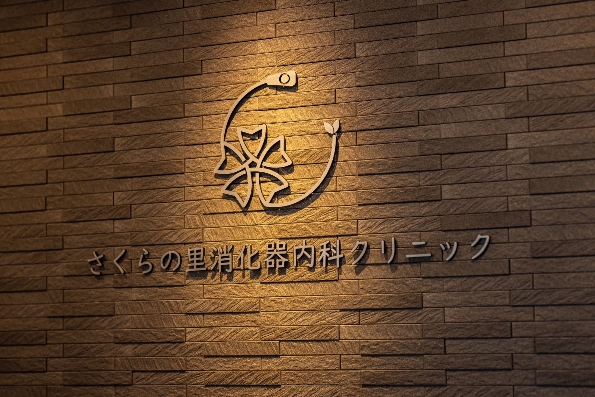 公式案内画像