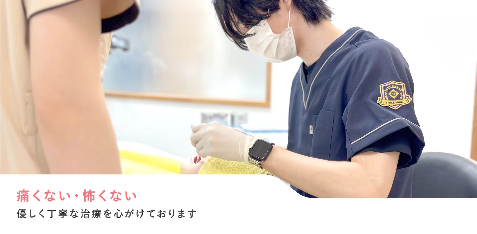 公式案内画像