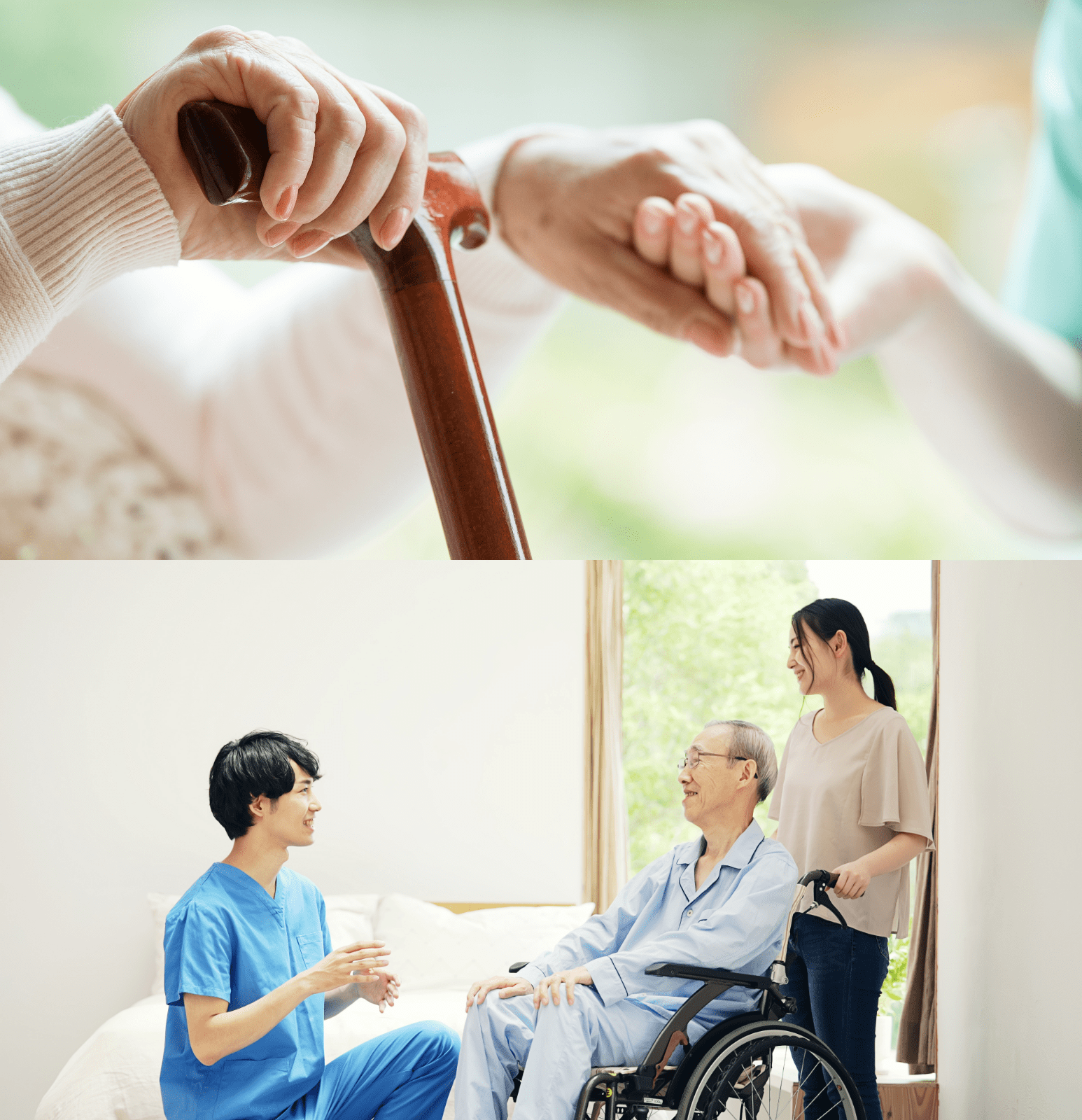 公式案内画像