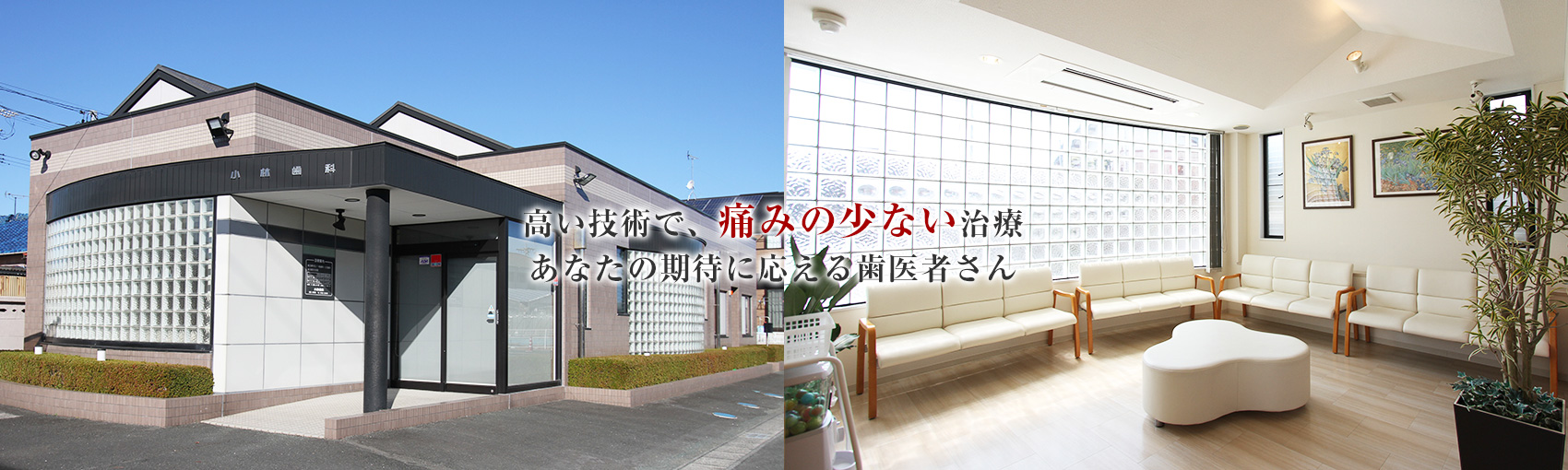公式案内画像