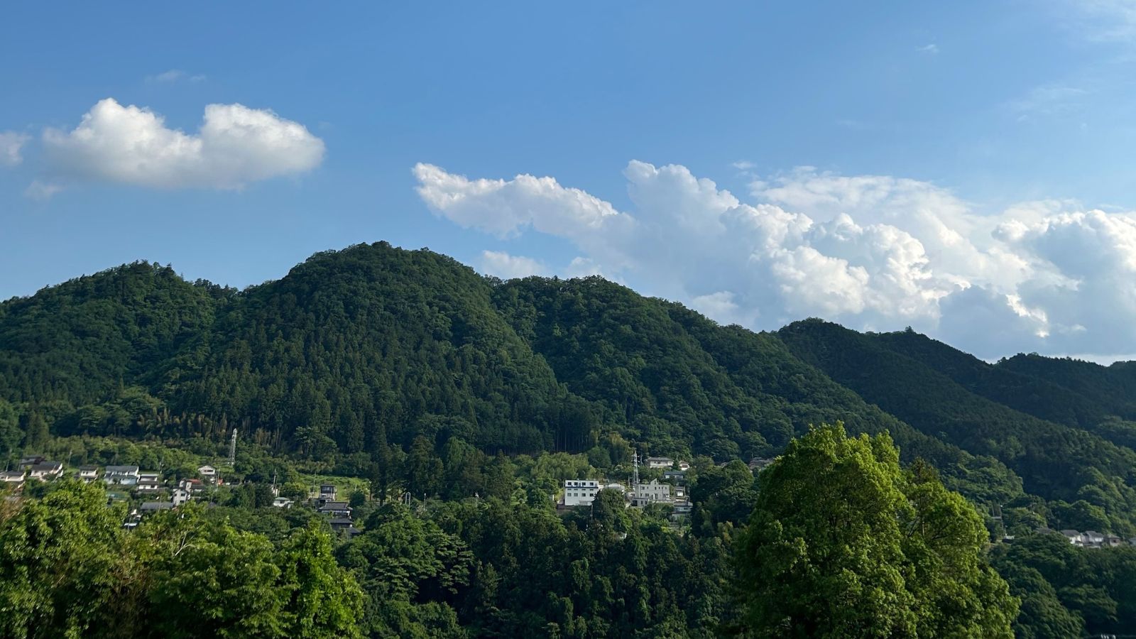 里山ナースステーションゆず の写真