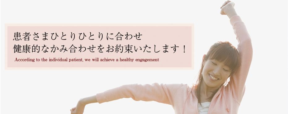 公式案内画像