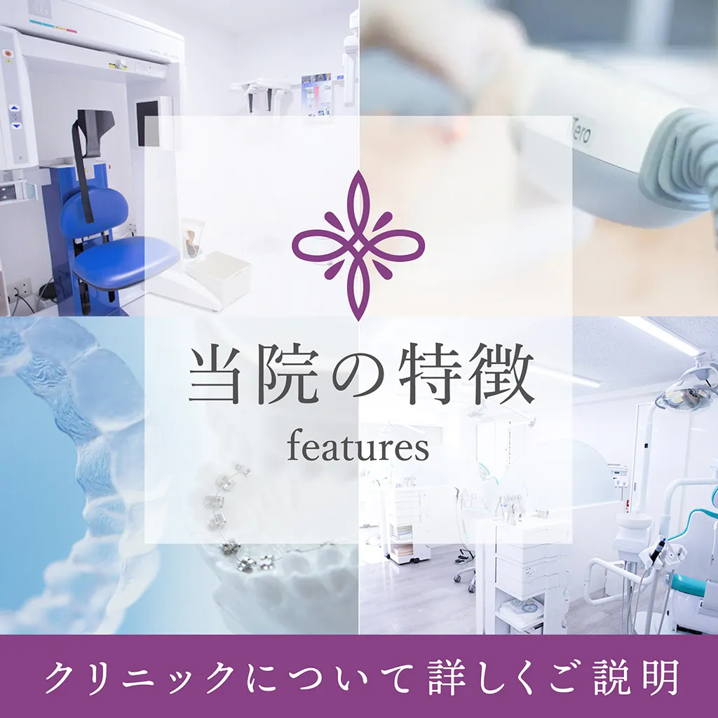 公式案内画像