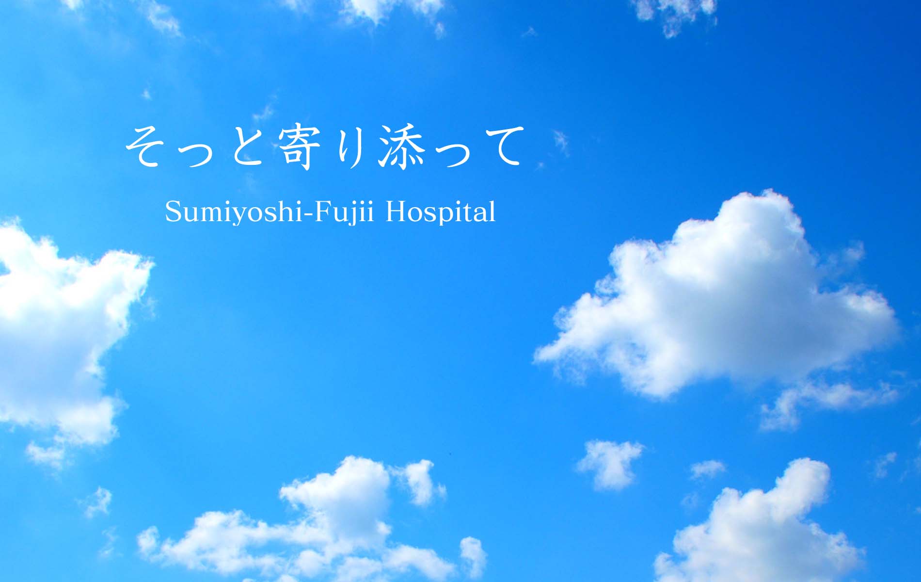 公式代表画像