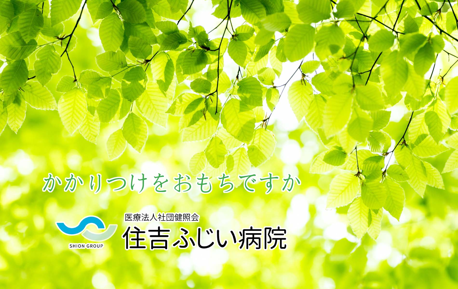公式案内画像