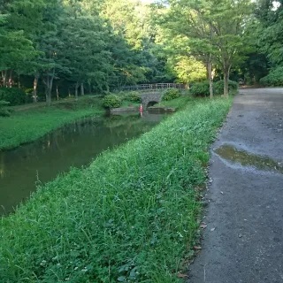 せせらぎ薬局 の写真