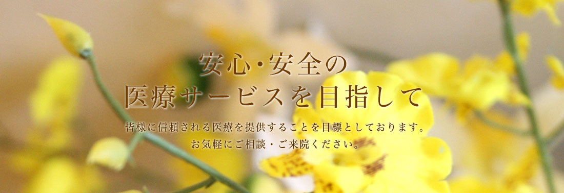 公式案内画像