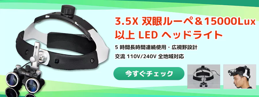公式案内画像