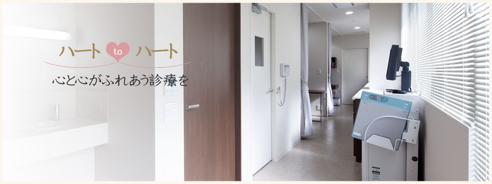公式案内画像