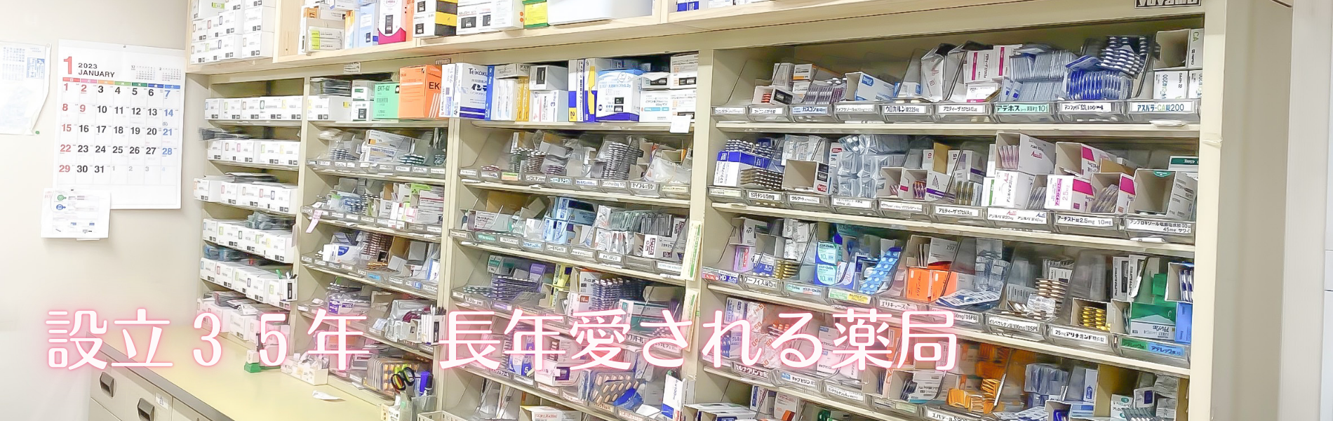 公式案内画像
