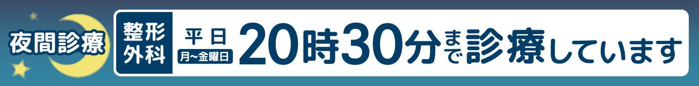 公式案内画像