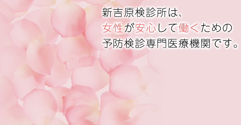 公式案内画像