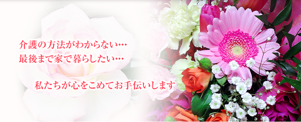 しらこばと の写真