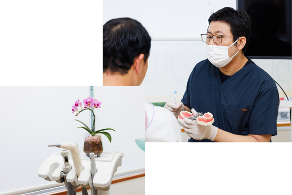 公式案内画像