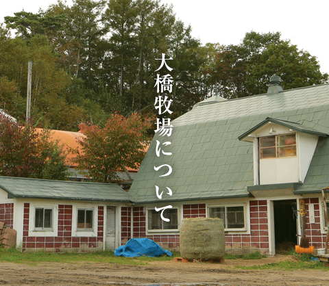 株式会社カネダイ大橋牧場 の写真