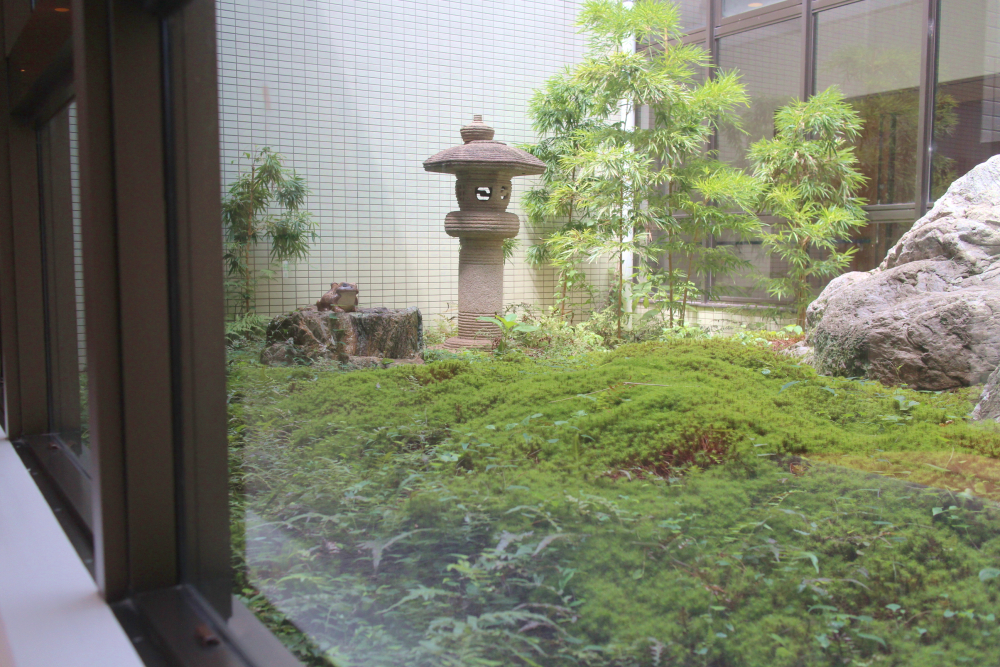 院内から望む石灯籠と植栽の中庭