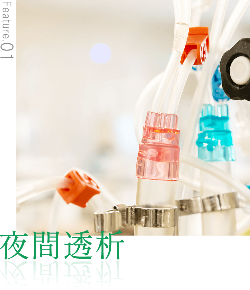 公式案内画像