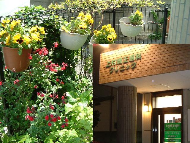 上村矯正歯科クリニック の写真