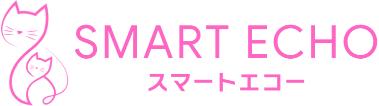 株式会社スマートエコー