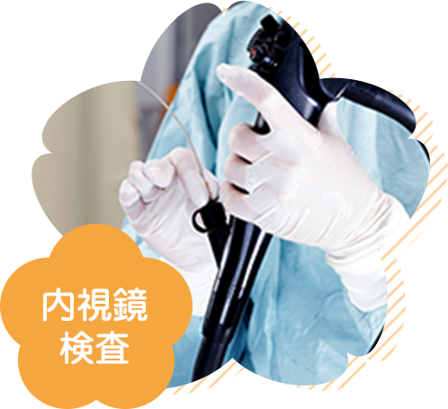 公式案内画像