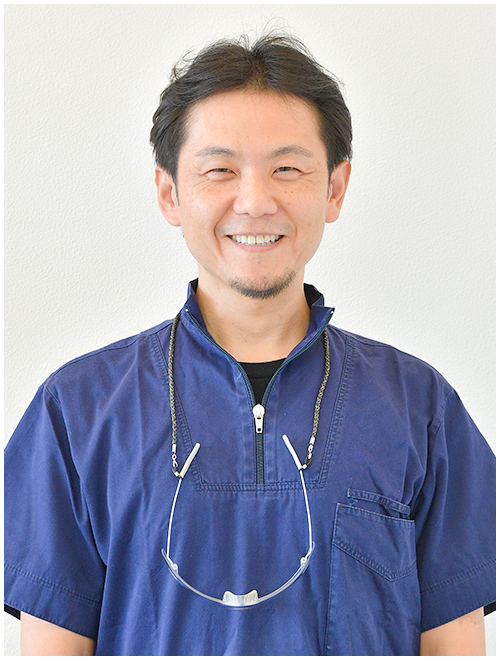 公式案内画像