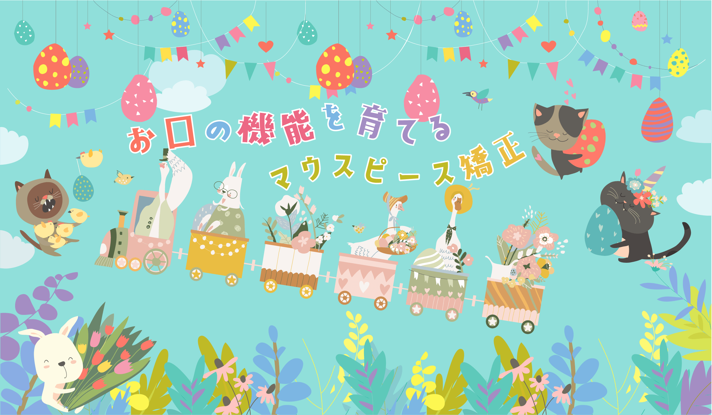 公式案内画像