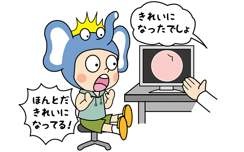 公式案内画像