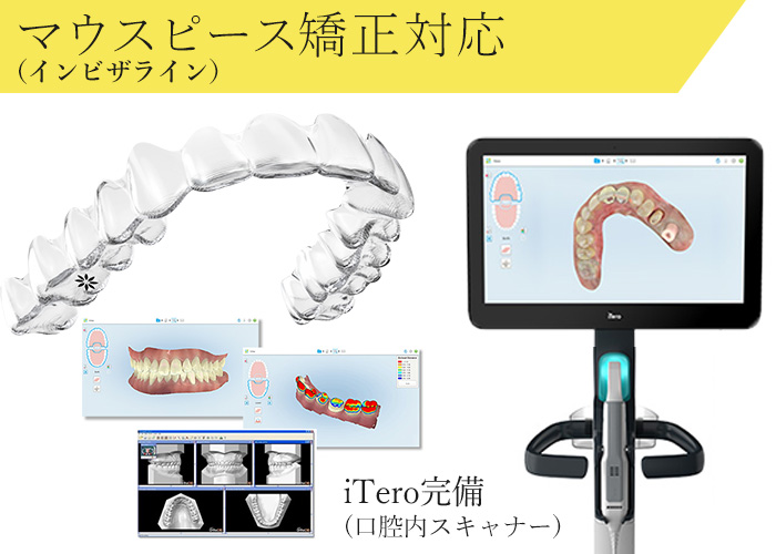 公式案内画像