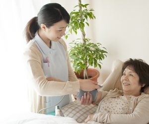 公式案内画像