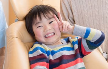 公式案内画像