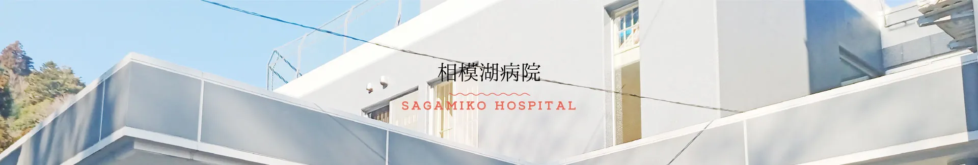 公式代表画像