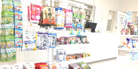 公式案内画像