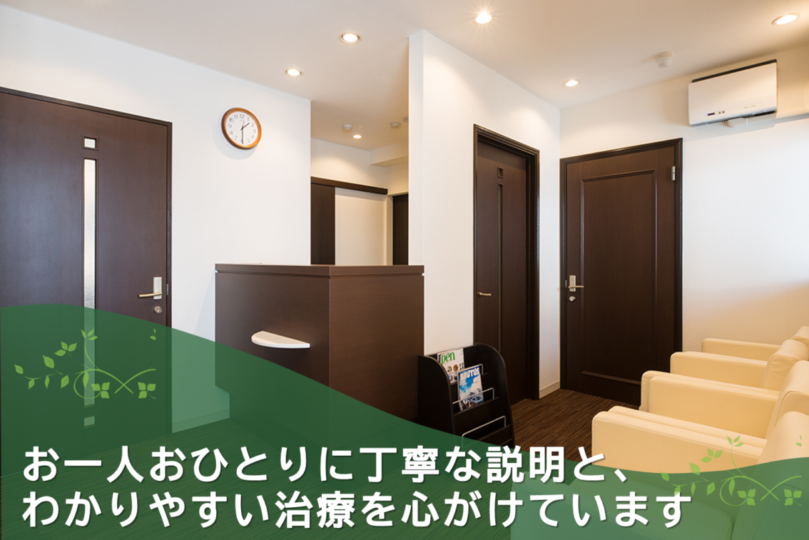 公式案内画像