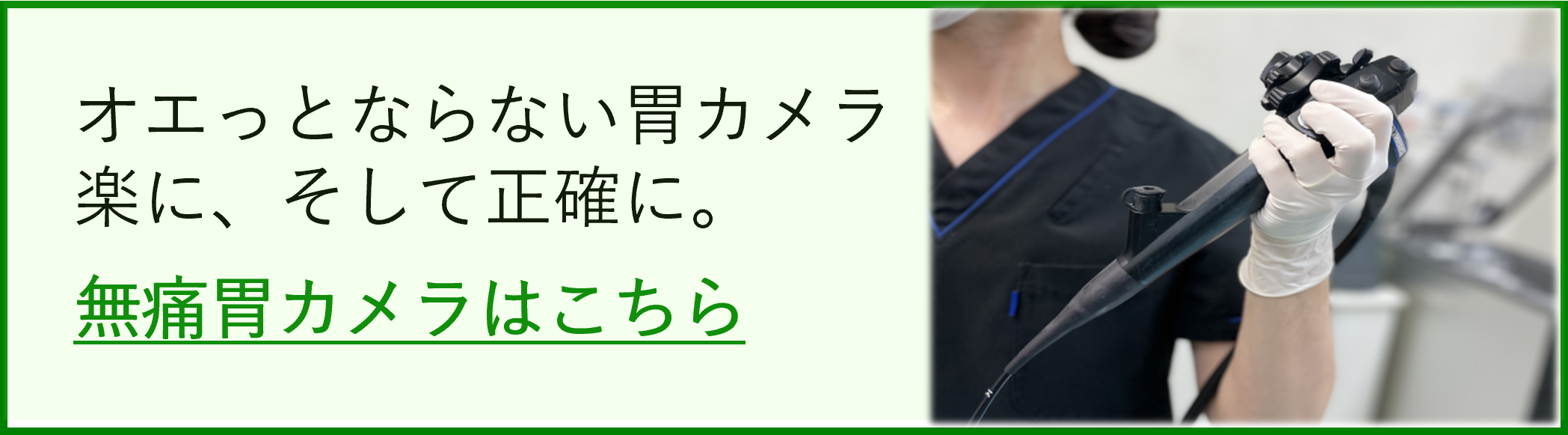 公式案内画像