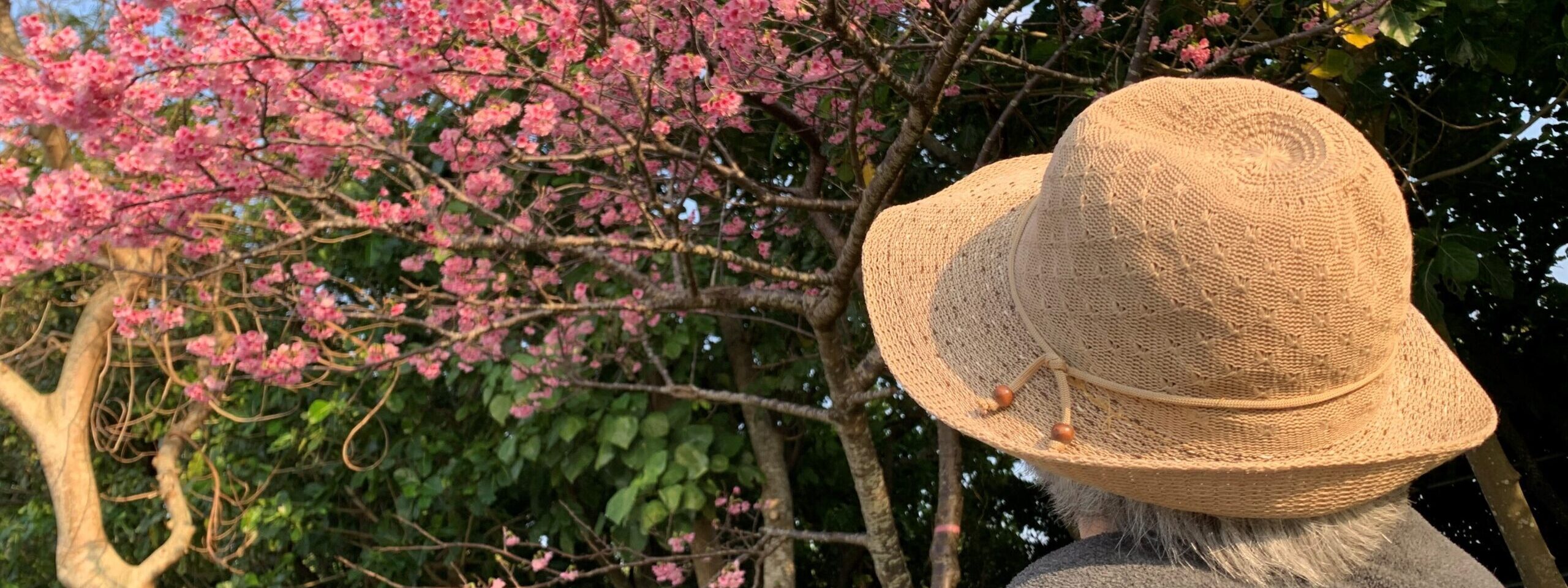 サンケアネット訪問看護ステーション の写真