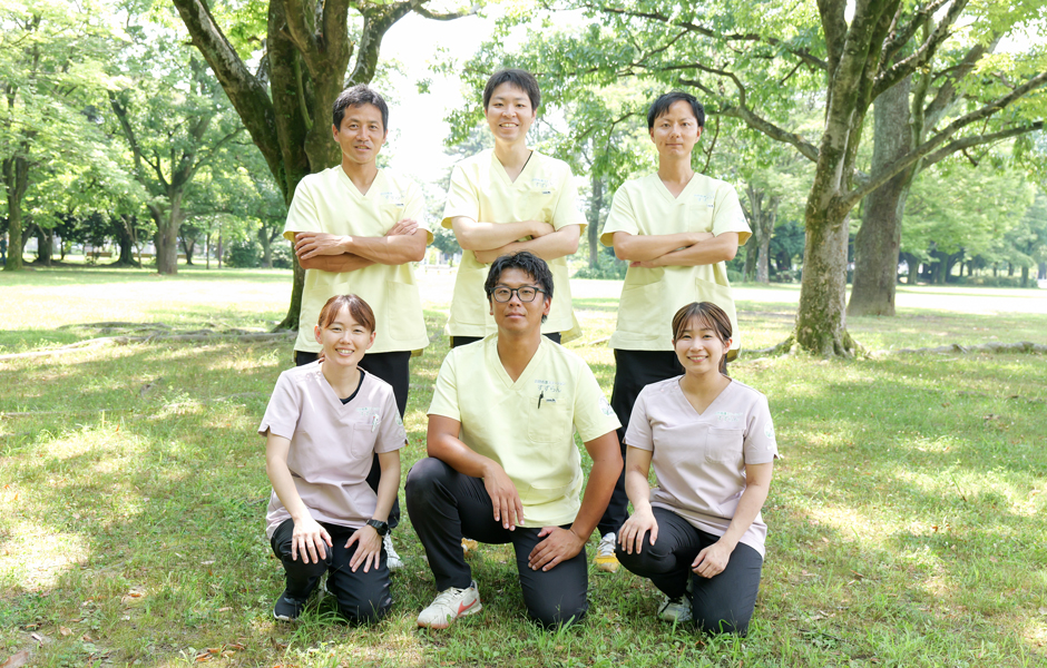公式案内画像