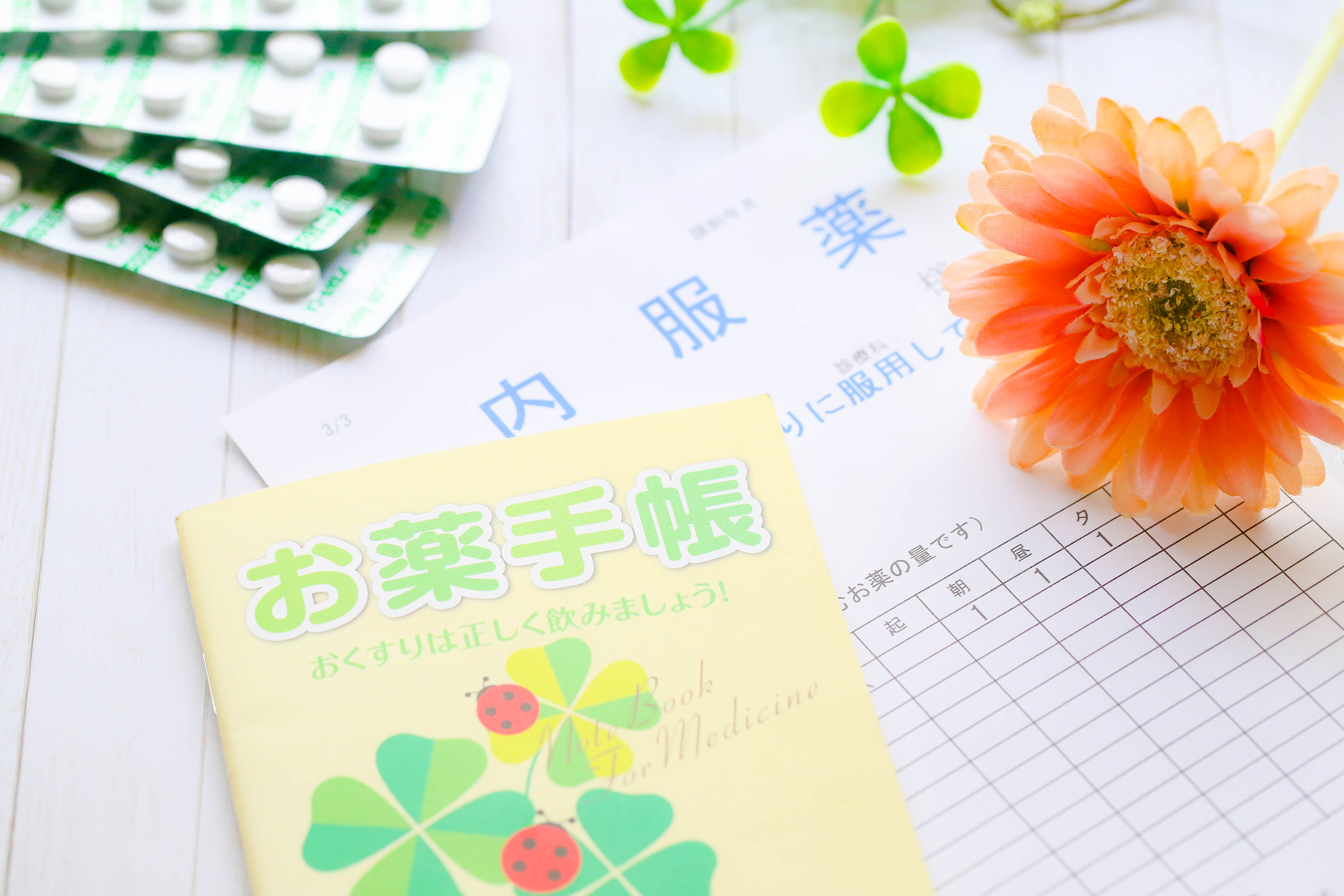 公式案内画像