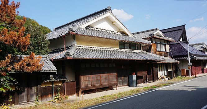 公式案内画像