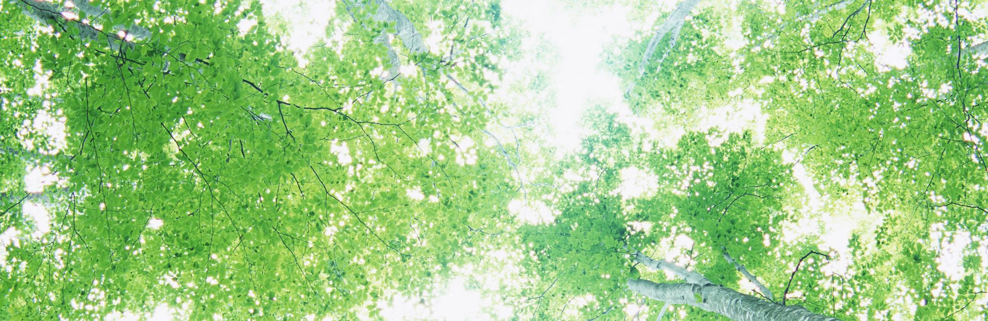 公立高畠病院 診療案内