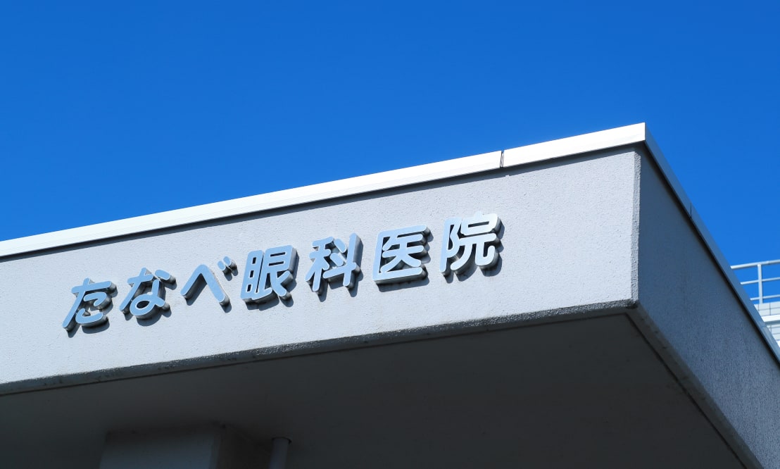 公式案内画像
