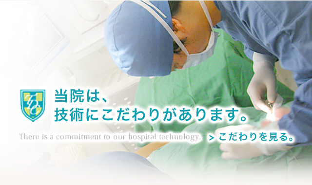 公式案内画像