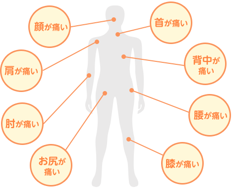 公式案内画像