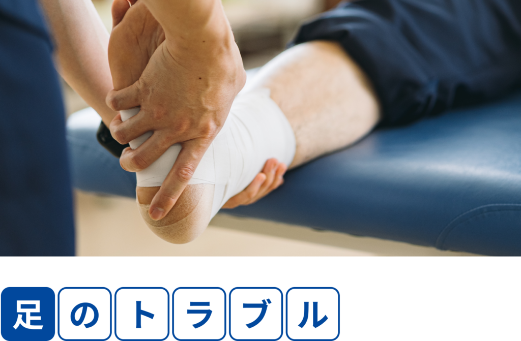 公式案内画像
