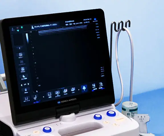 公式案内画像