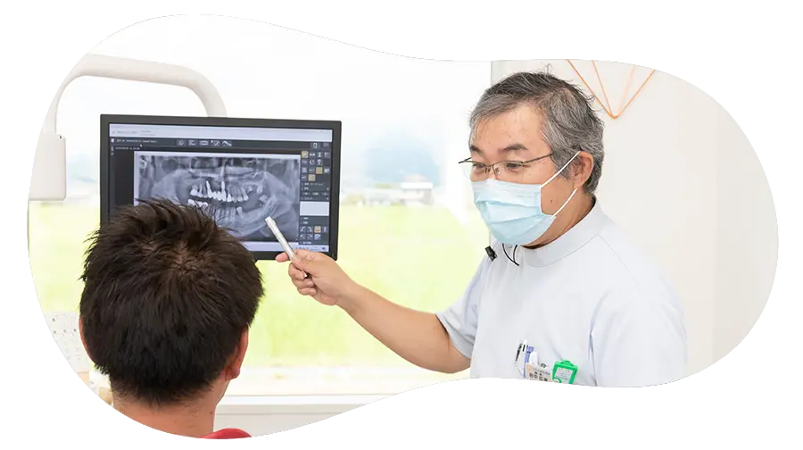 公式案内画像
