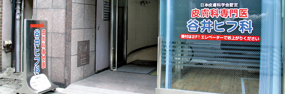 谷井ヒフ科 の写真
