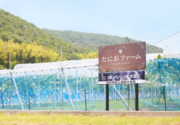 公式案内画像