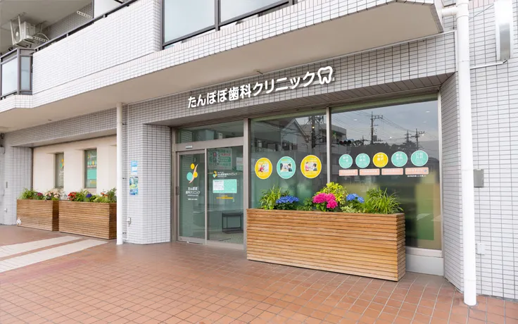 公式案内画像